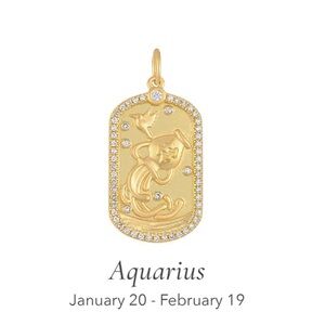 DIAMOND ZODIAC NECKLACE - EFCollection | E F COLLECTION